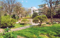 le parc de bercy
