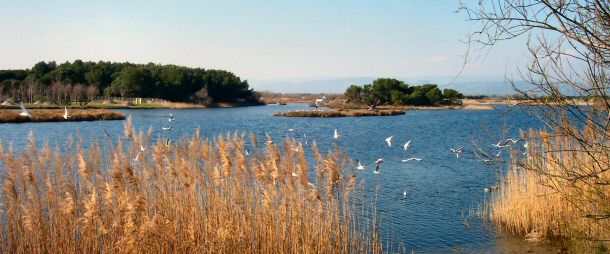les etangs de Villepey